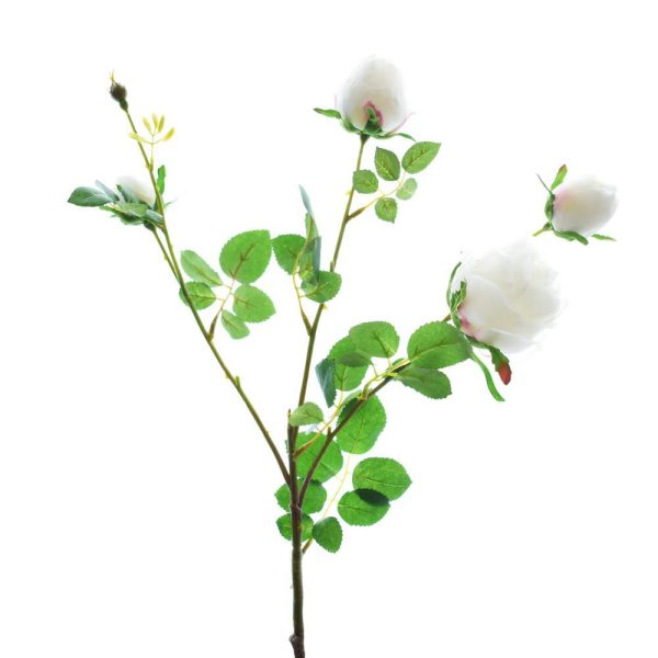 ROSA SPRAY CM.60 CREMA ROSA SPRAY CM.60 CREMA