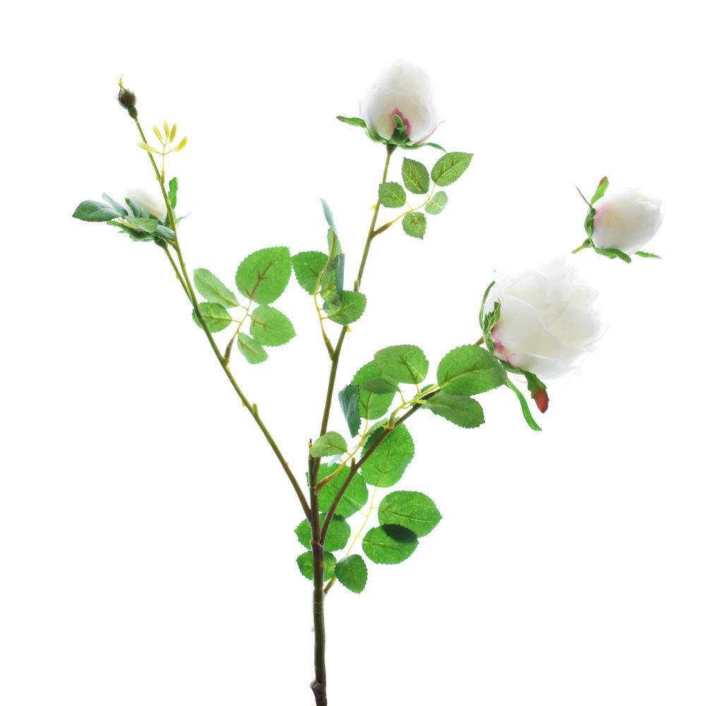 ROSA SPRAY CM.60 CREMA ROSA SPRAY CM.60 CREMA