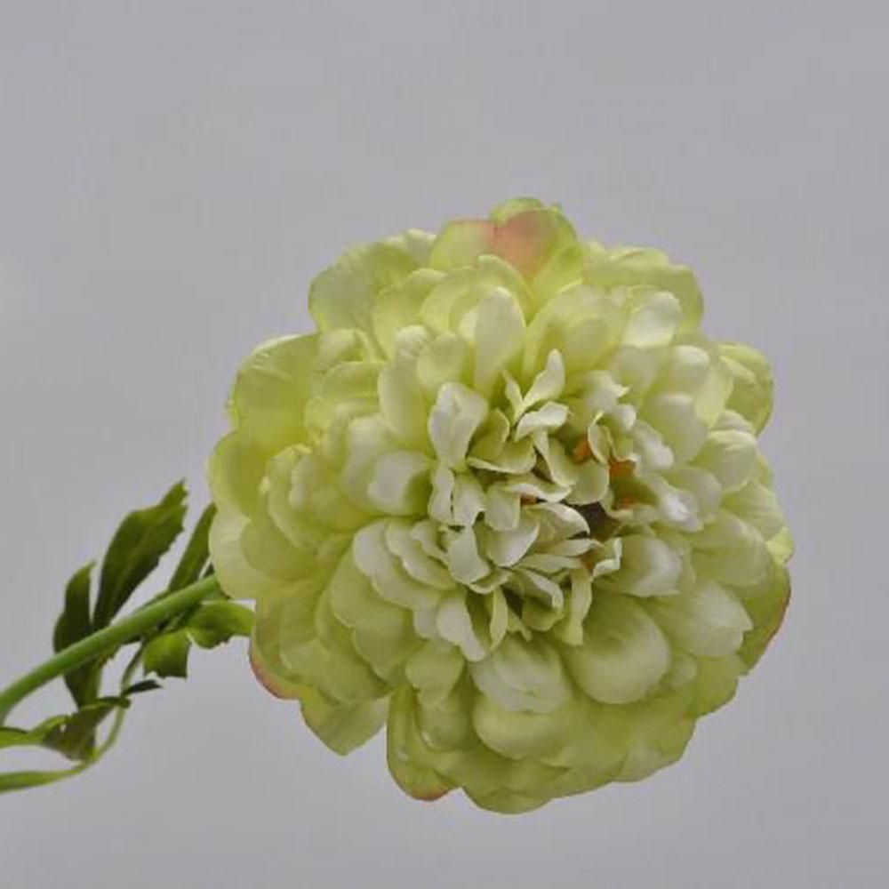 RANUNCOLO SPRAY CM.49 BIANCO/VERDE