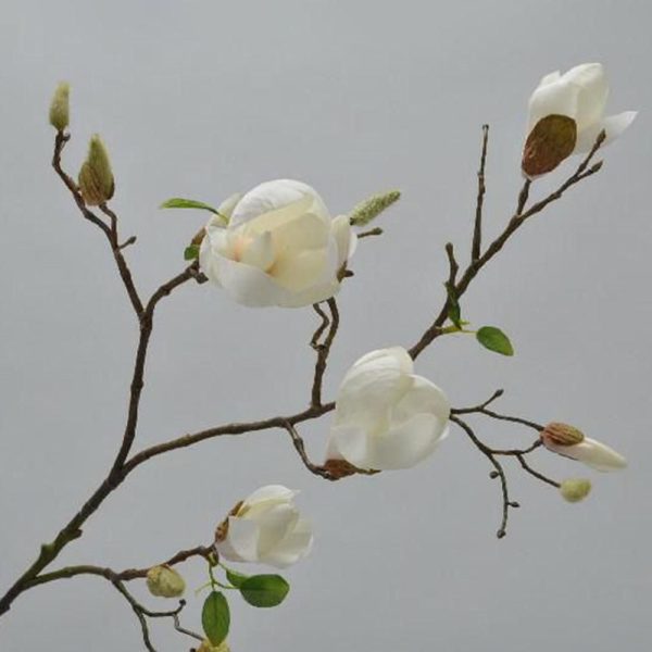 MAGNOLIA SPRAY CM.87 CREMA/ROSA MAGNOLIA SPRAY CM.87 CREMA/ROSA