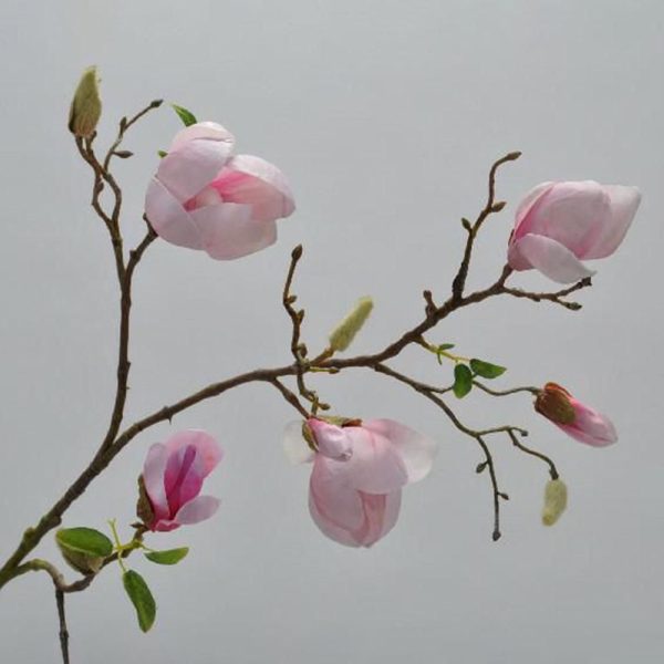 MAGNOLIA SPRAY CM.87 ROSA MAGNOLIA SPRAY CM.87 ROSA