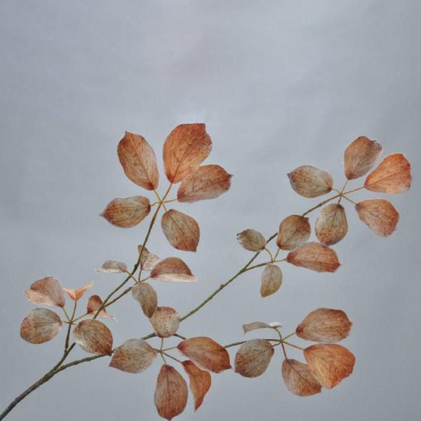 FOGLIAME SPRAY INNEVATOCM.91 MARRONE FOGLIAME SPRAY INNEVATOCM.91 MARRONE