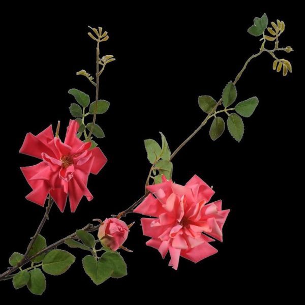 ROSE SPRAY CM.95 BEAUTY