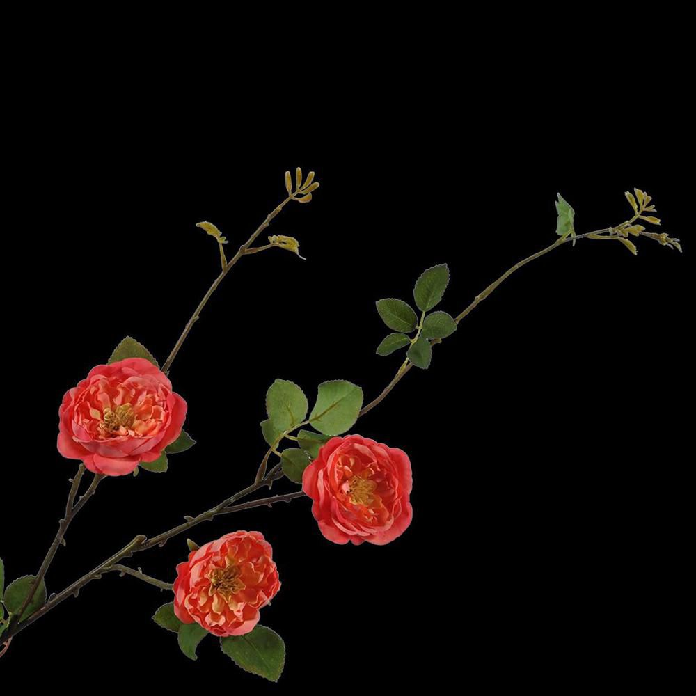 ROSE SPRAY CM.95 ARANCIO ROSE SPRAY CM.95 ARANCIO