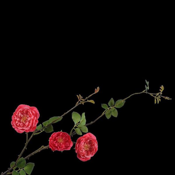 ROSE SPRAY CM.95 BEAUTY ROSE SPRAY CM.95 BEAUTY