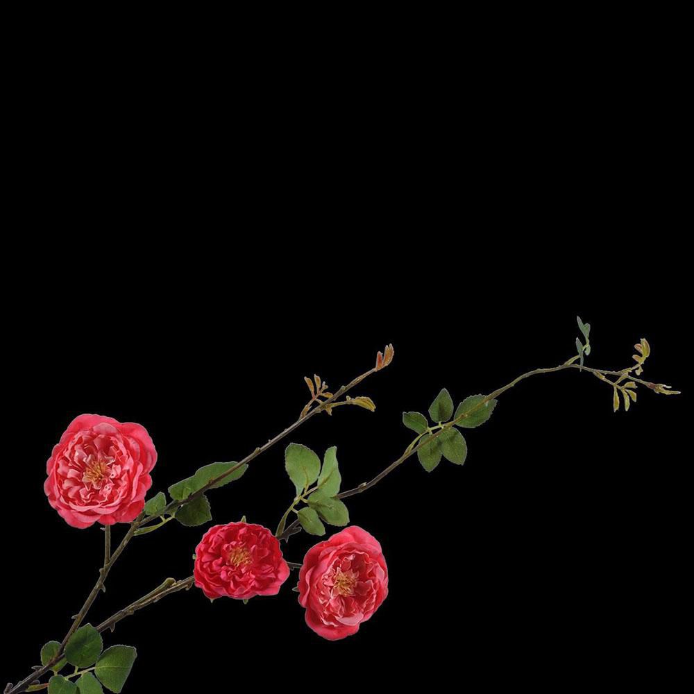 ROSE SPRAY CM.95 BEAUTY