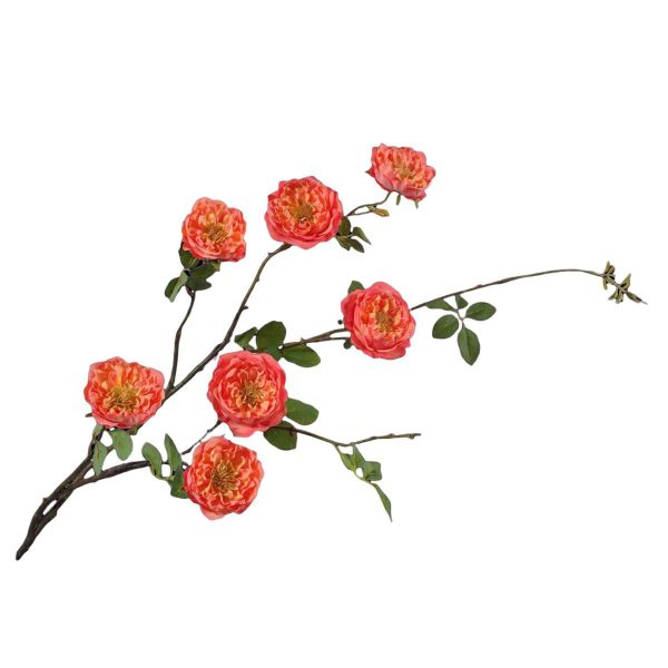 ROSE SPRAY CM.116 ARANCIO ROSE SPRAY CM.116 ARANCIO
