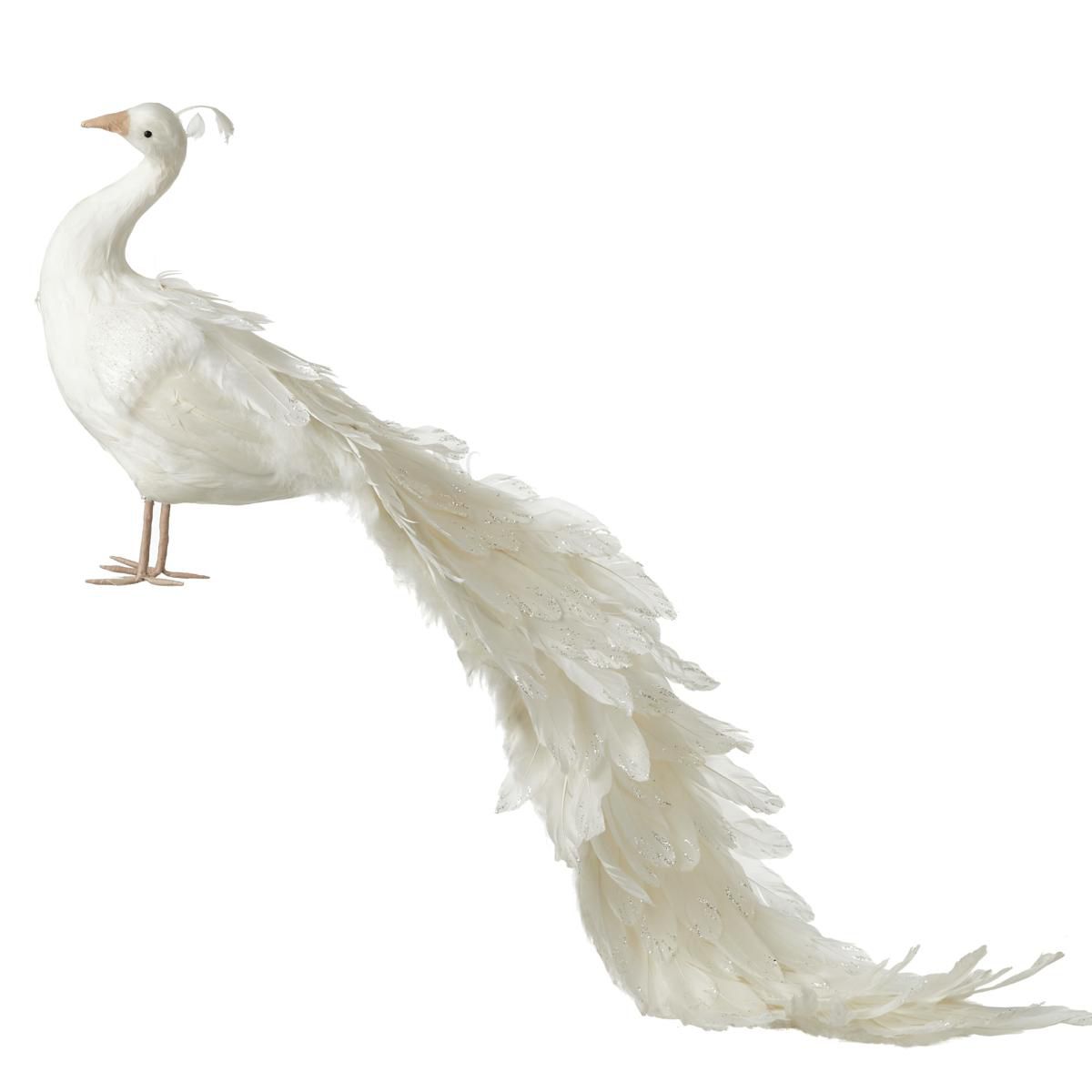 PAVONE PIUME 126X26 CM H.43 CM C/CODA LUNGA BIANCO PAVONE PIUME 126X26 CM H.43 CM C/CODA LUNGA BIANCO