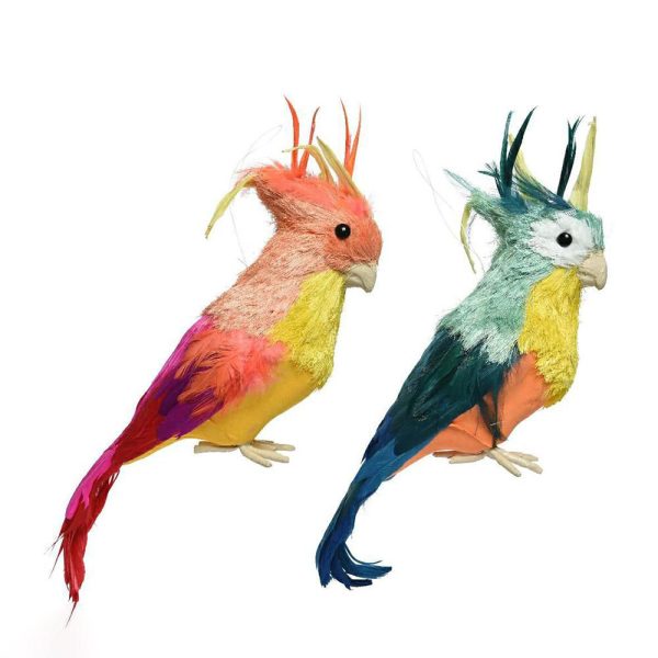 PAPPAGALLO SISAL C/PIUME 14X15X50 CM 2 ASS. PAPPAGALLO SISAL C/PIUME 14X15X50 CM 2 ASS.