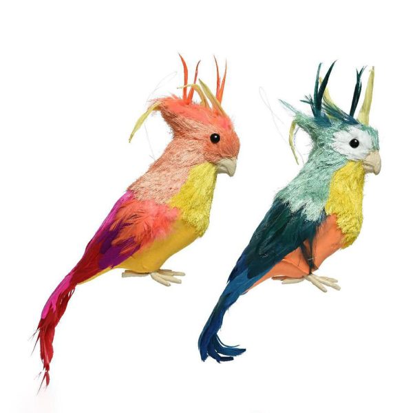 PAPPAGALLO SISAL C/PIUME 9X10X33 CM 2 ASS. PAPPAGALLO SISAL C/PIUME 9X10X33 CM 2 ASS.