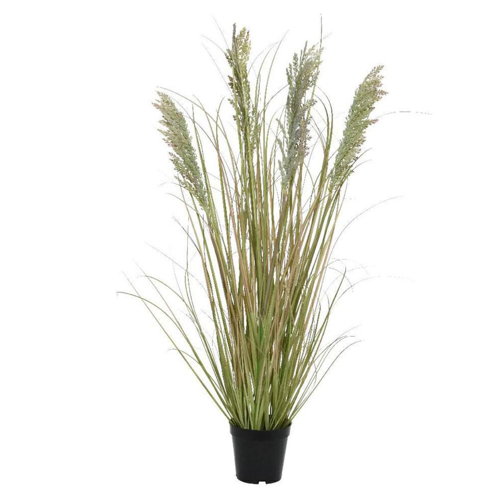 PAMPAS PIANTA C/VASO CM.90 VERDE PAMPAS PIANTA C/VASO CM.90 VERDE