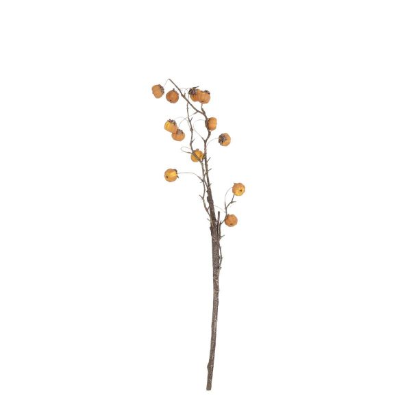 PUMPKIN RAMO 8X CM.81 MARRONE PUMPKIN RAMO 8X CM.81 MARRONE