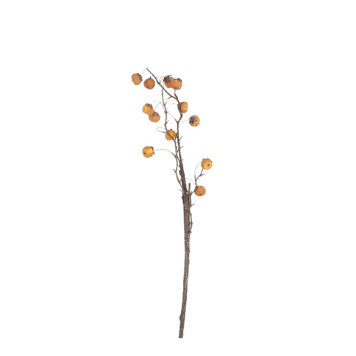 PUMPKIN RAMO 8X CM.81 MARRONE PUMPKIN RAMO 8X CM.81 MARRONE