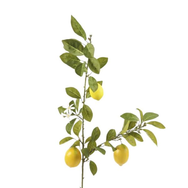 LIMONE RAMO 2X CM.110 VERDE/GIALLO LIMONE RAMO 2X CM.110 VERDE/GIALLO