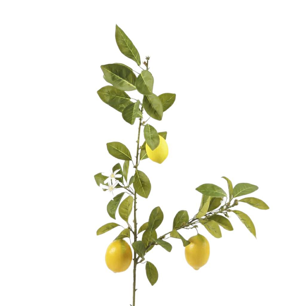 LIMONE RAMO 2X CM.110 VERDE/GIALLO