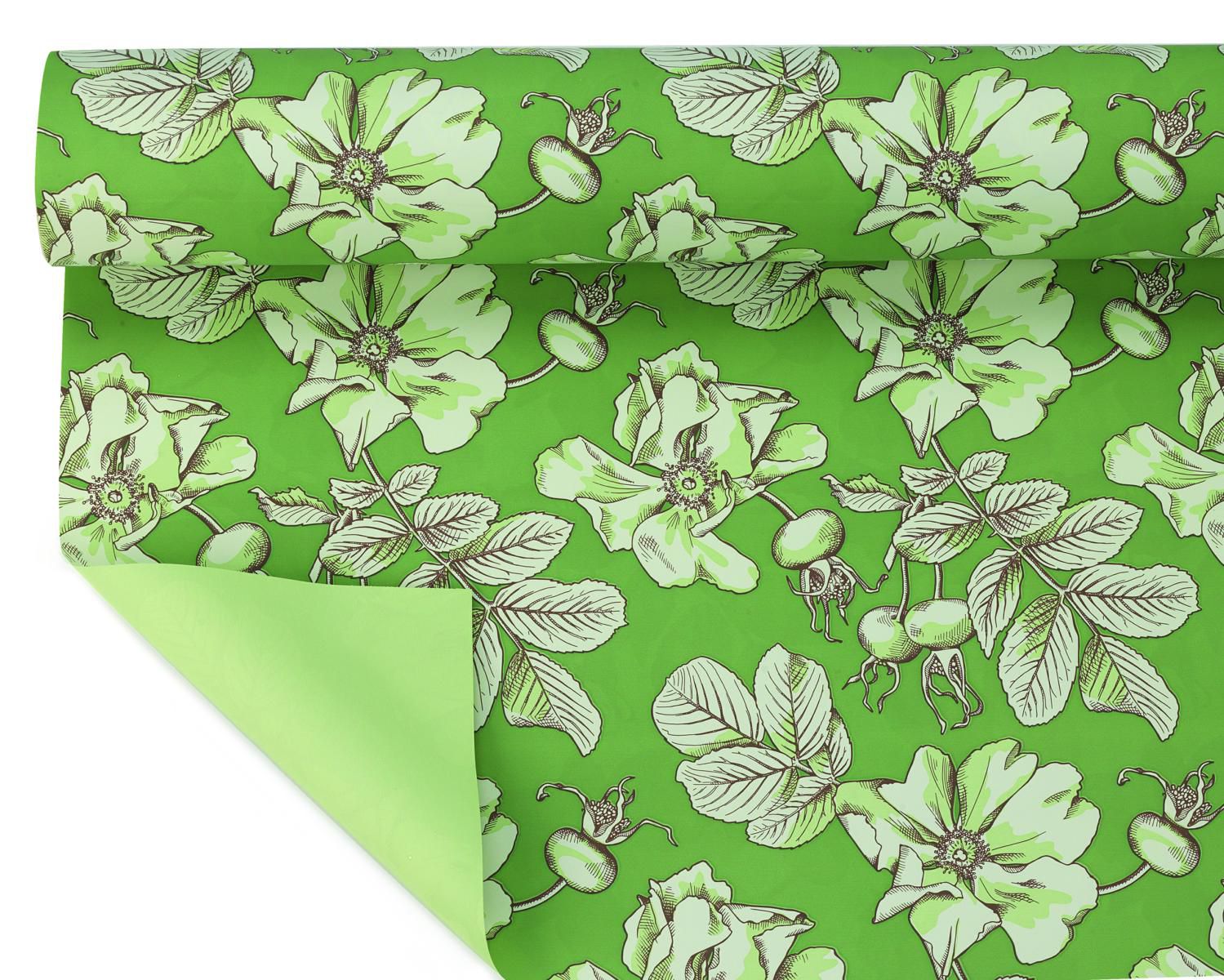 BOBINA PPL -MAGNOLIA- CM 100X25 MT 40MY VERDE SALVIA-30 BOBINA PPL -MAGNOLIA- CM 100X25 MT 40MY VERDE SALVIA-30