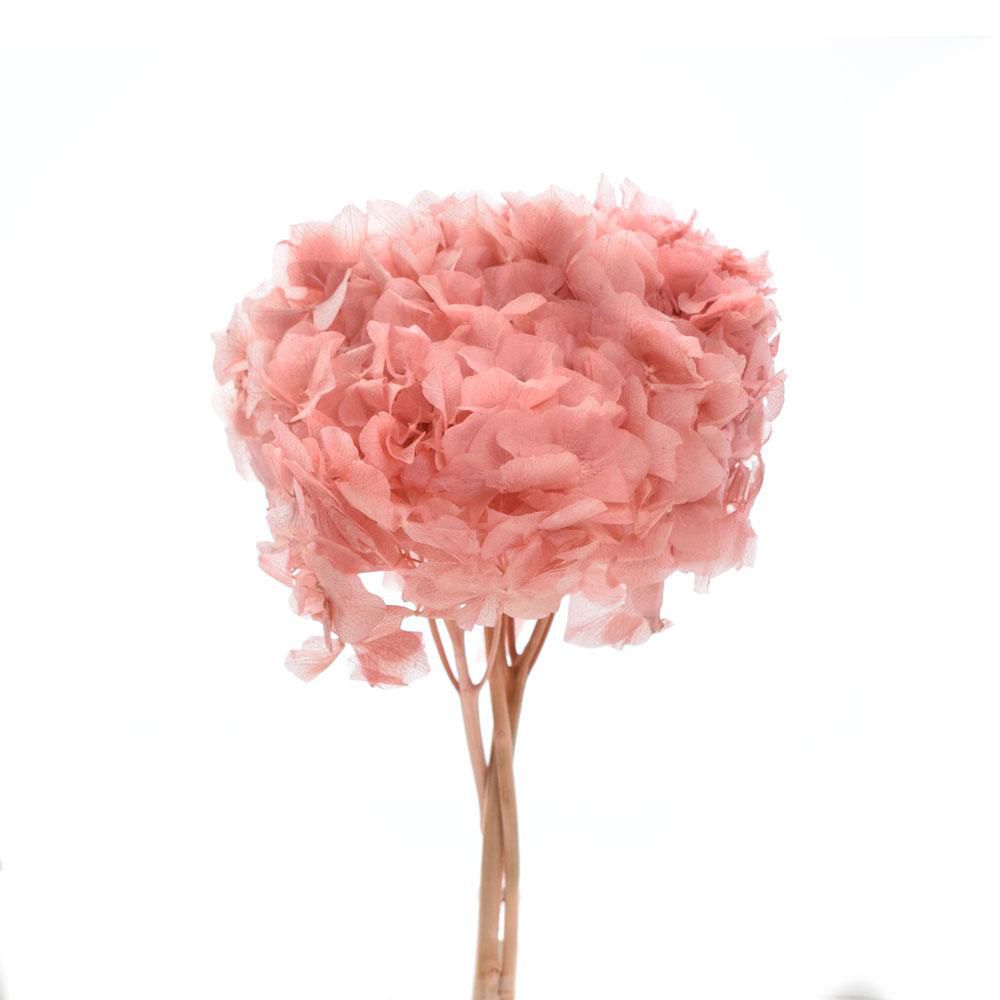 HYDRANGEA STABILIZZATA CM.40 CIPRIA 141/P HYDRANGEA STABILIZZATA CM.40 CIPRIA 141/P