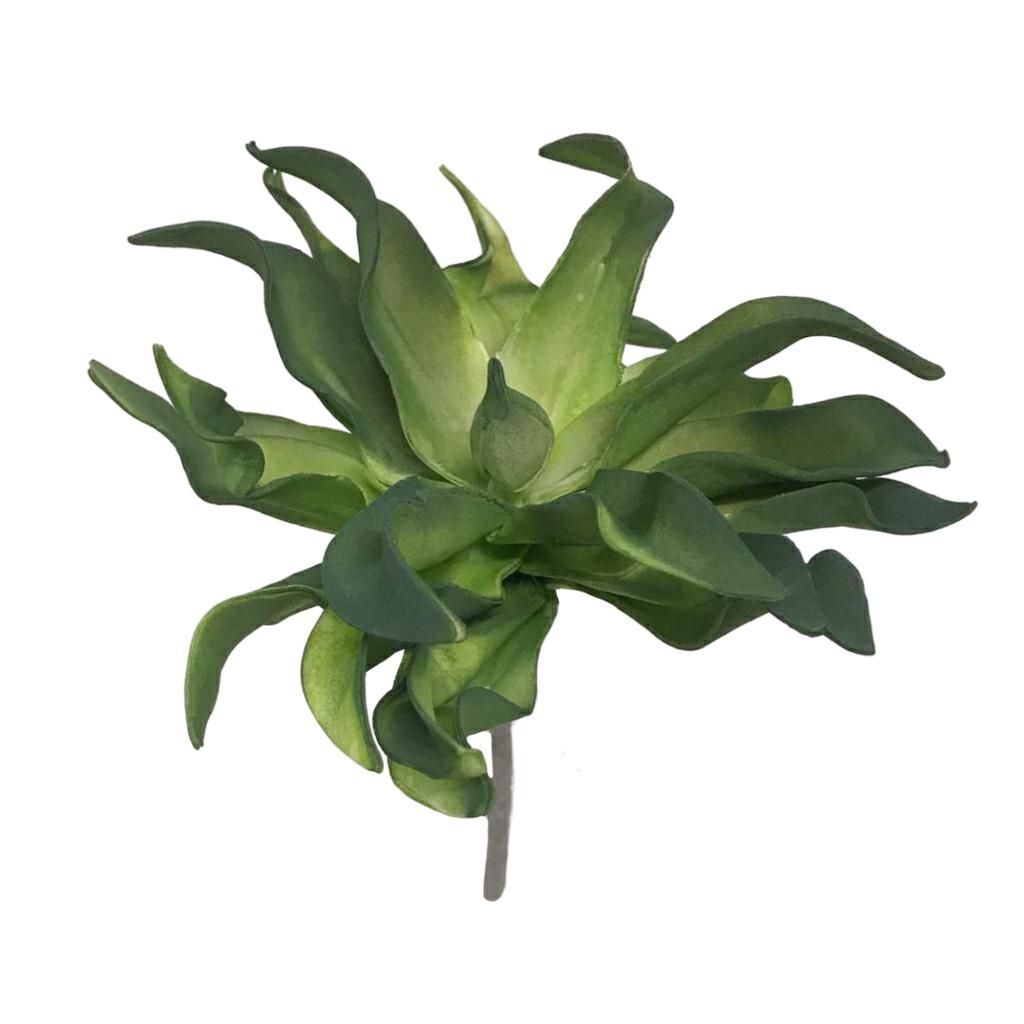 ALOE FOAM CM.27 VERDE ALOE FOAM CM.27 VERDE