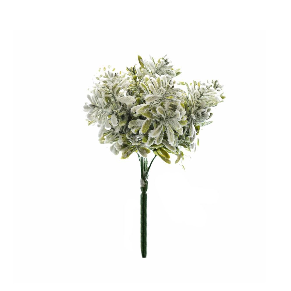 BOXWOOD BUSH 7F INNEVATO BOXWOOD BUSH 7F INNEVATO