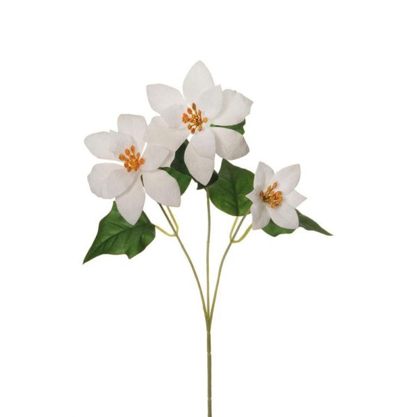 STELLA DI NATALE POINSETTIA VELLUTO SPRAY 3F 6FG CM.60 BIANCO STELLA DI NATALE POINSETTIA VELLUTO SPRAY 3F 6FG CM.60 BIANCO