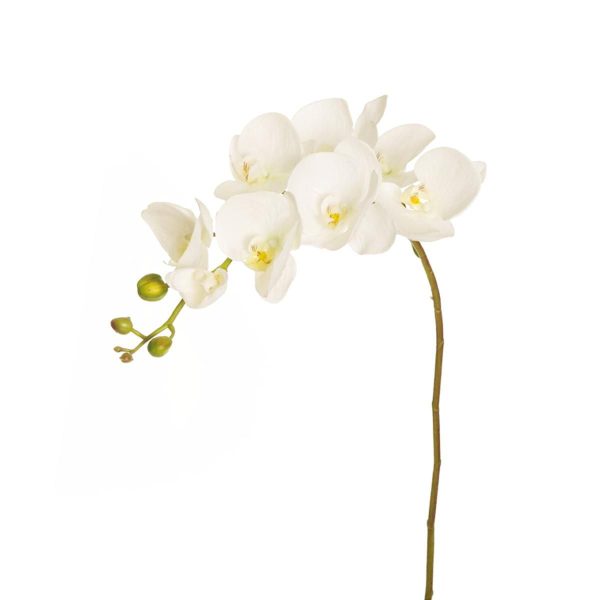 PHALAENOPSIS ORCHID REAL TOUCH 7F 6B CM.102 BIANCO PHALAENOPSIS ORCHID REAL TOUCH 7F 6B CM.102 BIANCO
