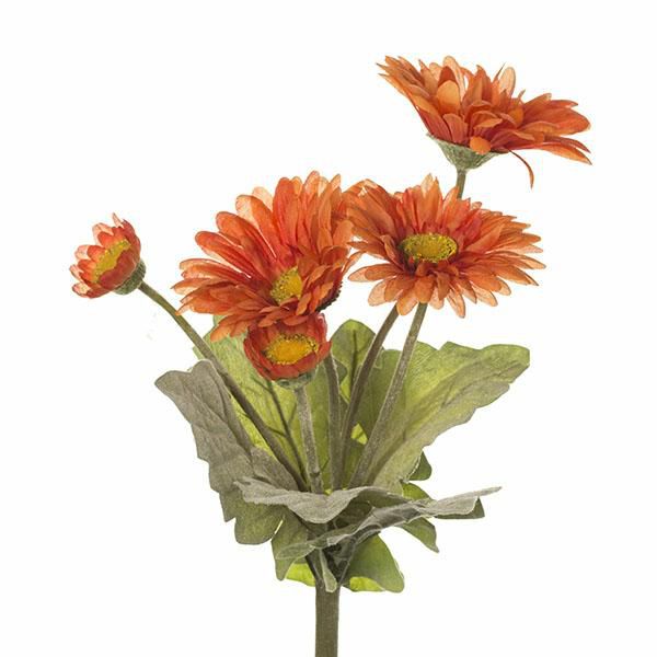 GERBERA BOUQUET 5F CM.40 ARANCIO GERBERA BOUQUET 5F CM.40 ARANCIO