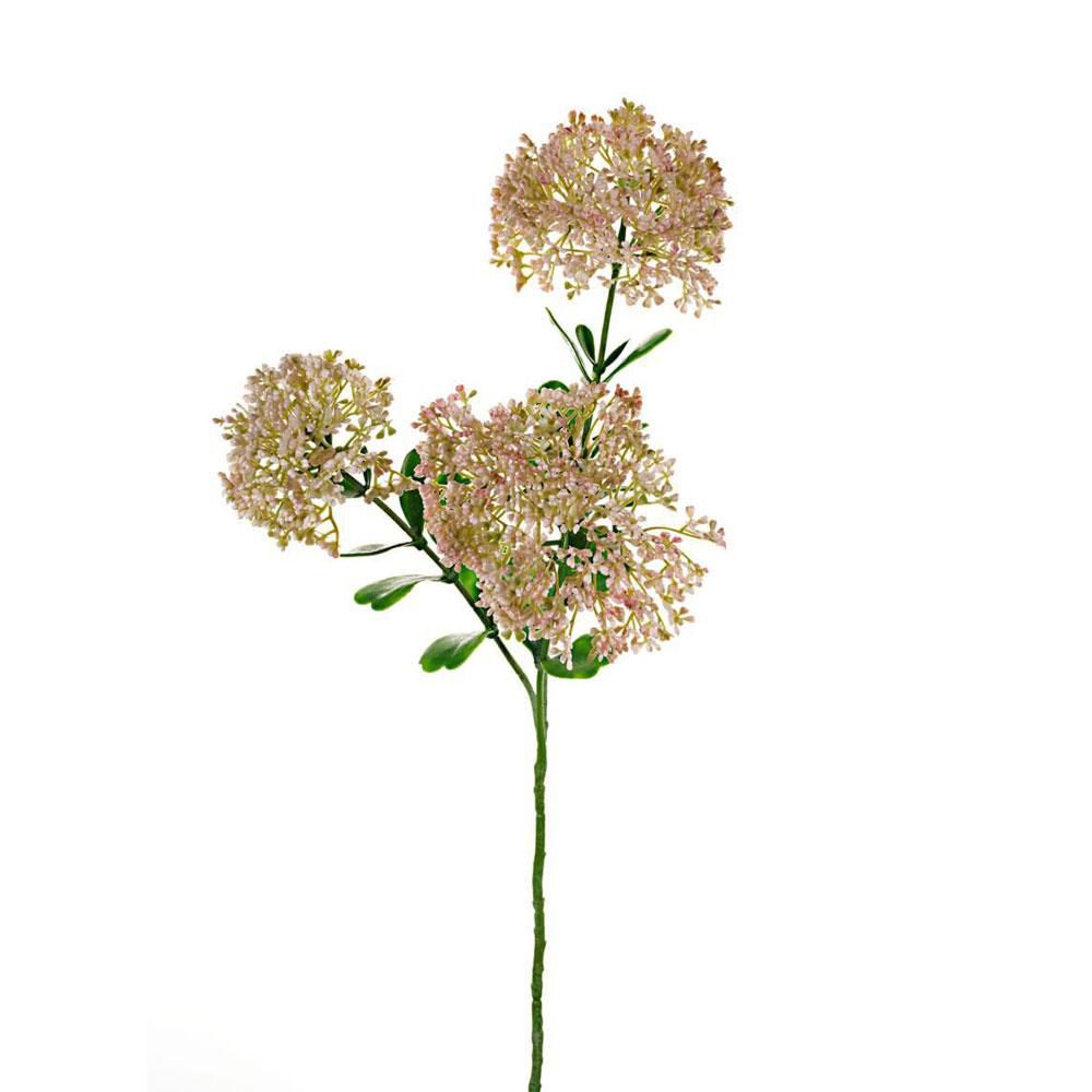 BLOOM SEDUM SPRAY 3X CM.58 ROSA BLOOM SEDUM SPRAY 3X CM.58 ROSA