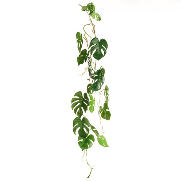 PHILODENDRO RICADENTE 100 CM VERDE PHILODENDRO RICADENTE 100 CM VERDE