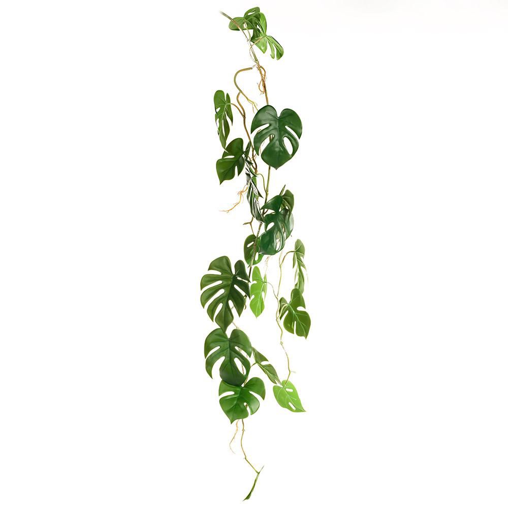 PHILODENDRO RICADENTE 100 CM VERDE PHILODENDRO RICADENTE 100 CM VERDE