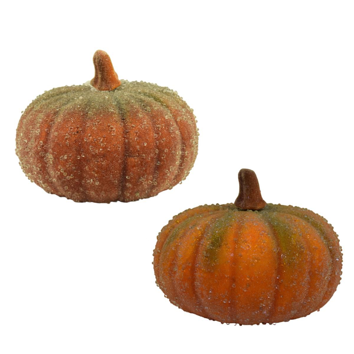 ZUCCHE SET 2 PZ. D.25 FROSTED ASS.ARANCIO/MARRONE