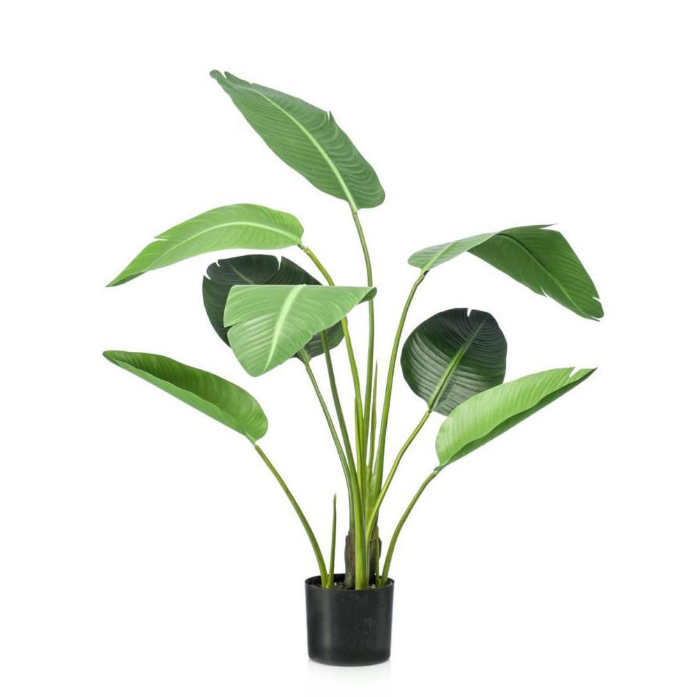 STRELITZIA PIANTA C/VASO 8F CM.120 VERDE STRELITZIA PIANTA C/VASO 8F CM.120 VERDE