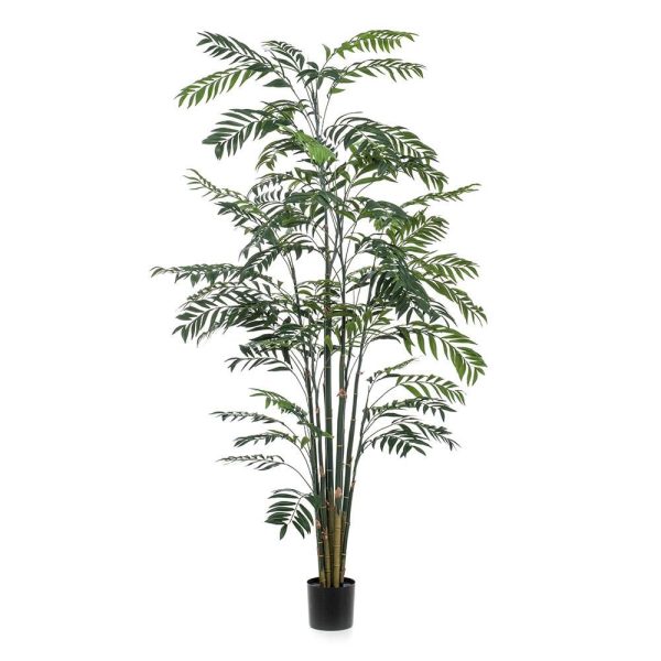 BAMBOO PALMA PIANTA C/VASO CM.245 VERDE BAMBOO PALMA PIANTA C/VASO CM.245 VERDE