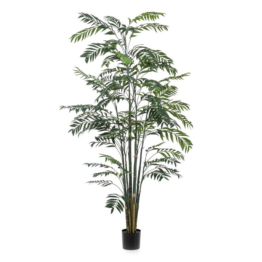 BAMBOO PALMA PIANTA C/VASO CM.245 VERDE BAMBOO PALMA PIANTA C/VASO CM.245 VERDE