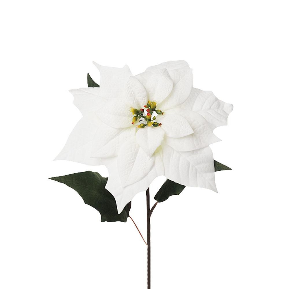 STELLA DI NATALE POINSETTIA CM.68 BIANCO