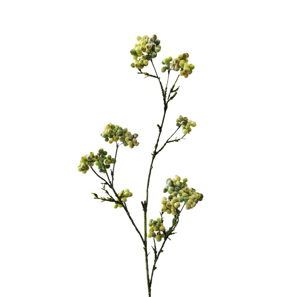 BACCHE SPRAY CM.61 VERDE