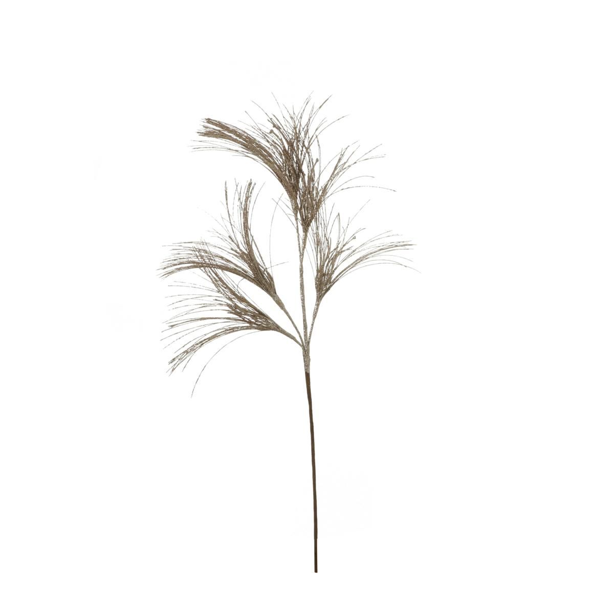 RAMO ERBA 76X13 CM CHAMPAGNE RAMO ERBA 76X13 CM CHAMPAGNE