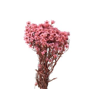 FIORI SECCHI E FIORI STABILIZZATI