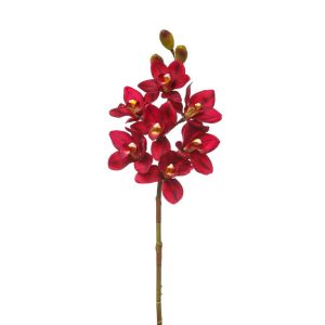 ORCHIDEE E FIORI TROPICALI