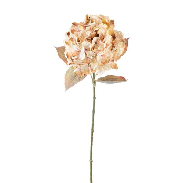 HYDRANGEA CM.68 BEIGE HYDRANGEA CM.68 BEIGE