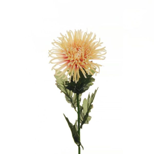 CRISANTEMO SPIDER 5F CM.80 SALMONE/CREMA CRISANTEMO SPIDER 5F CM.80 SALMONE/CREMA