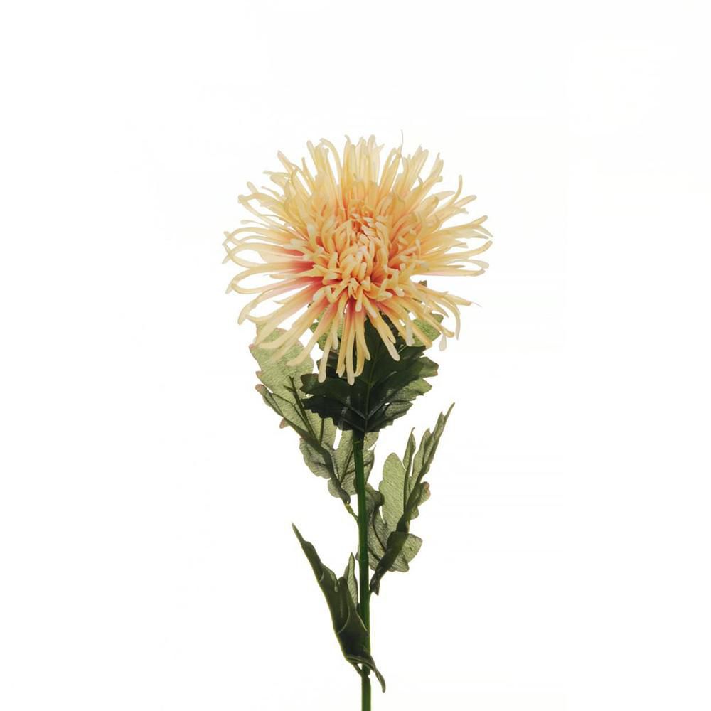 CRISANTEMO SPIDER 5F CM.80 SALMONE/CREMA