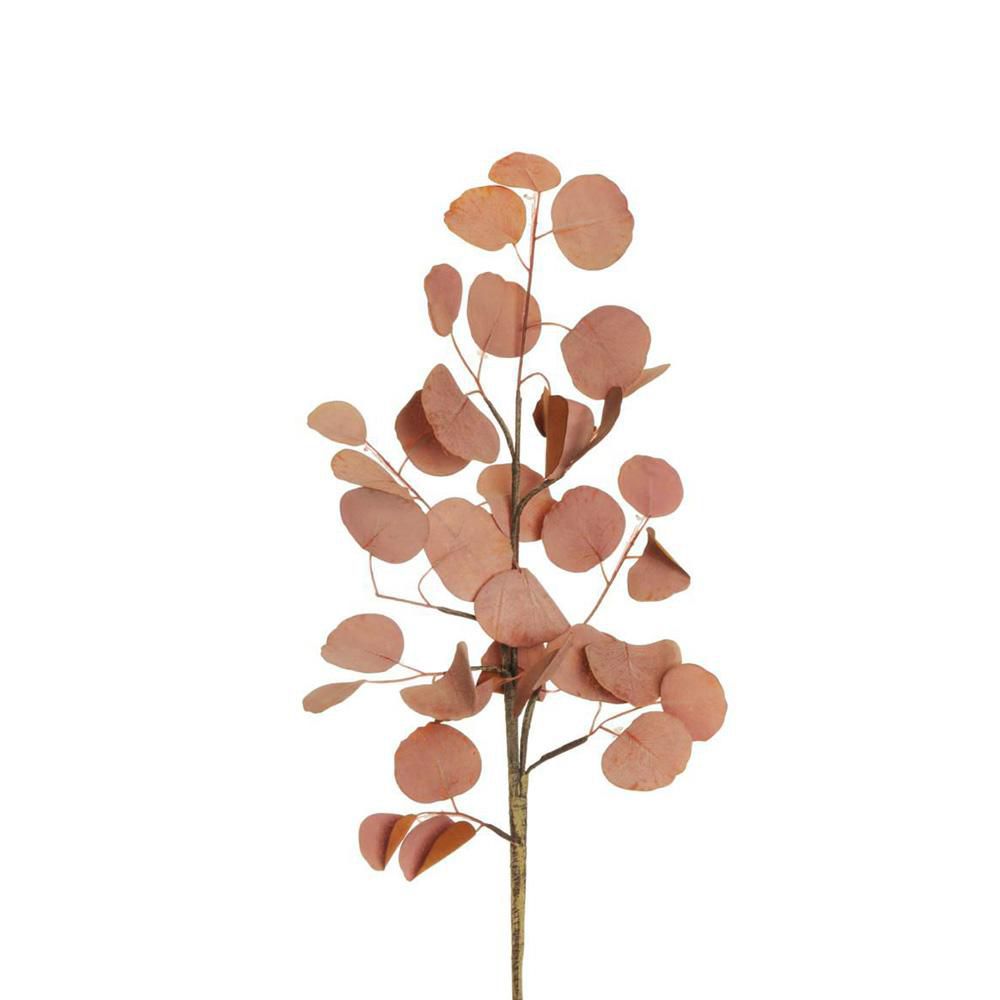 EUCALYPTO SPRAY CM.90 ARANCIO/MARRONE CHIARO EUCALYPTO SPRAY CM.90 ARANCIO/MARRONE CHIARO