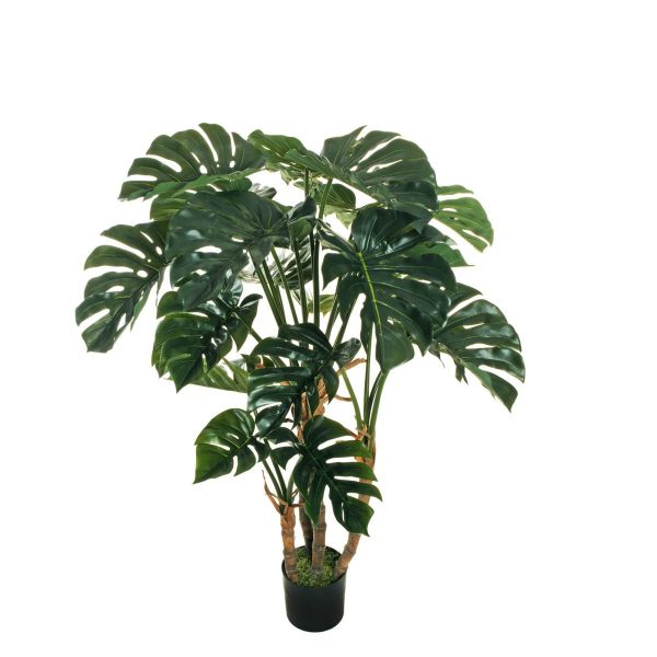 PHILODENDRO MONSTERA PIANTA C/VASO 27F CM.140 VERDE PHILODENDRO MONSTERA PIANTA C/VASO 27F CM.140 VERDE