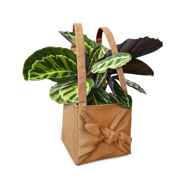 SET 10 SHOPPERS TESSUTOAMIDO DI MAIS 14X14X15 CM NATURALE SET 10 SHOPPERS TESSUTOAMIDO DI MAIS 14X14X15 CM NATURALE