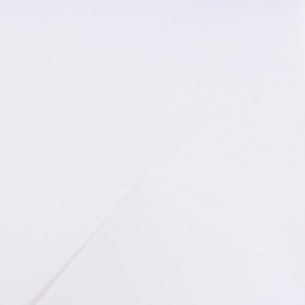 BOBINA PPL -GLAMOUR- CM100X20 MT BIANCO BOBINA PPL -GLAMOUR- CM100X20 MT BIANCO