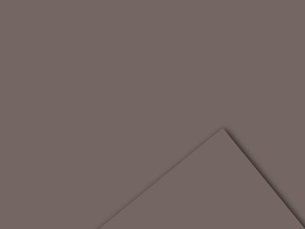 BOBINA PPL -VELVET- CM 100X20 MT 60MY GRIGIO