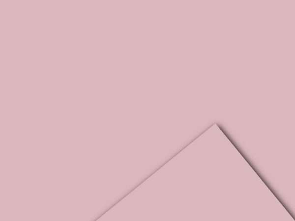 BOBINA PPL -VELVET- CM 100X20 MT 60MY ROSA ANTICO