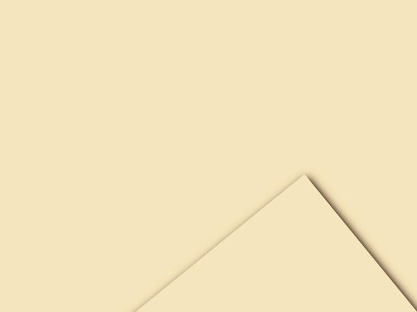 BOBINA PPL -VELVET- CM 100X20 MT 60MY PANNA