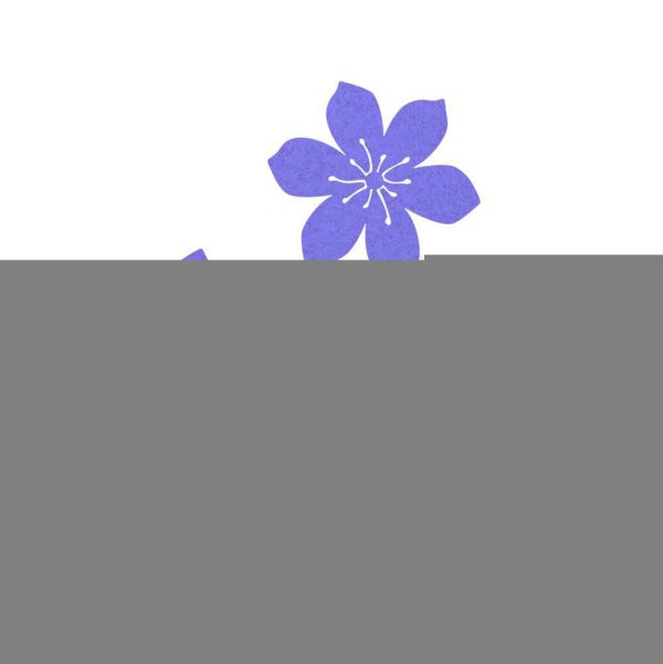 FIORE FELTRO PZ.12 ASS.LAVANDA FIORE FELTRO PZ.12 ASS.LAVANDA