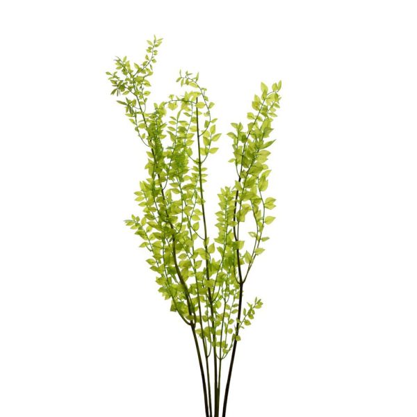 RUSCUS MAZZO PRESERVATOGR.150 VERDE 14/P RUSCUS MAZZO PRESERVATOGR.150 VERDE 14/P